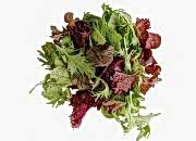 Karışık Maskolin Salata