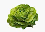 Kop Salat