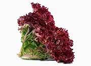 Lolorosso