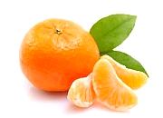 Mandalina