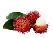 Rambutan